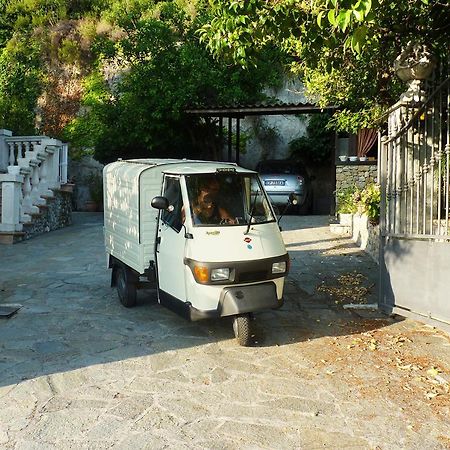 La Tana Del Tasso Ventimiglia Bed and Breakfast Exterior foto